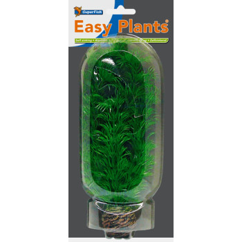 Easy Plants Middle NR4